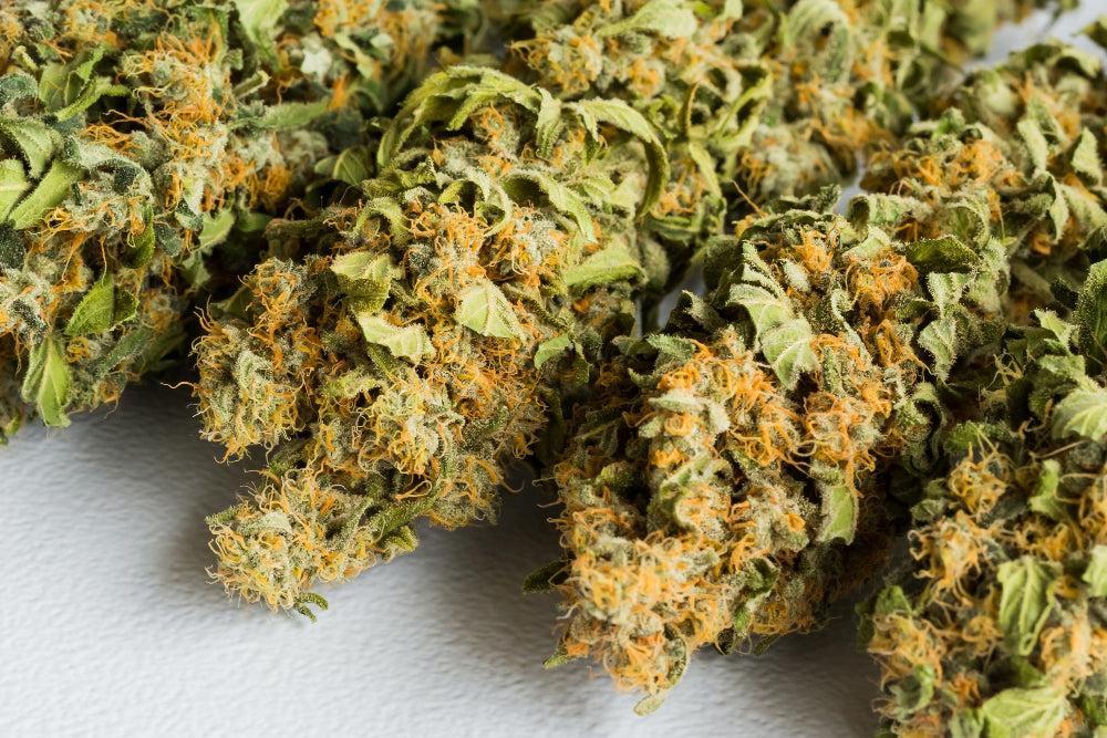 10-OH-HHC : Bienfaits et sécurité du nouveau cannabinoïde-Canapuff