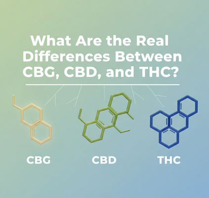What Are the Real Differences Between CBG, CBD, and THC?