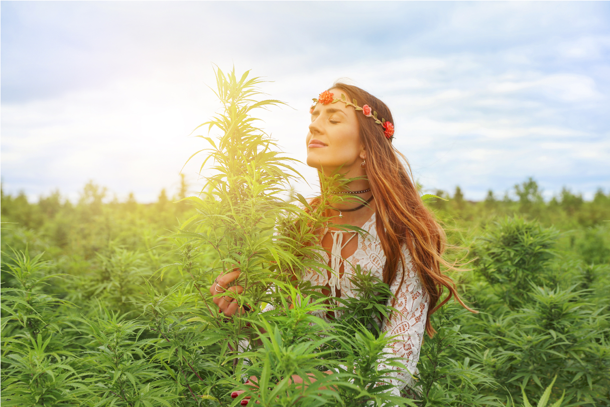 What Are the Best THC Vape Flavors for Relaxation and Focus?