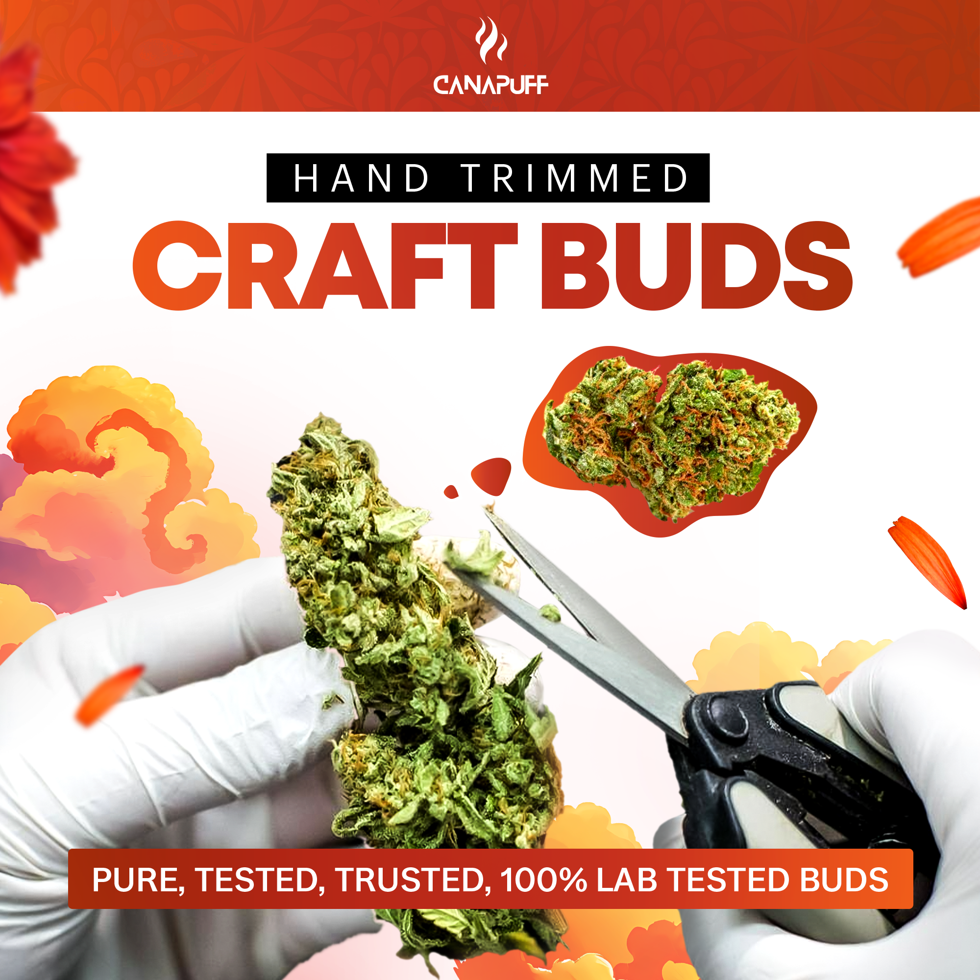 Canapuff - Tangie Dream 65% - Fleurs HHC-A-Canapuff