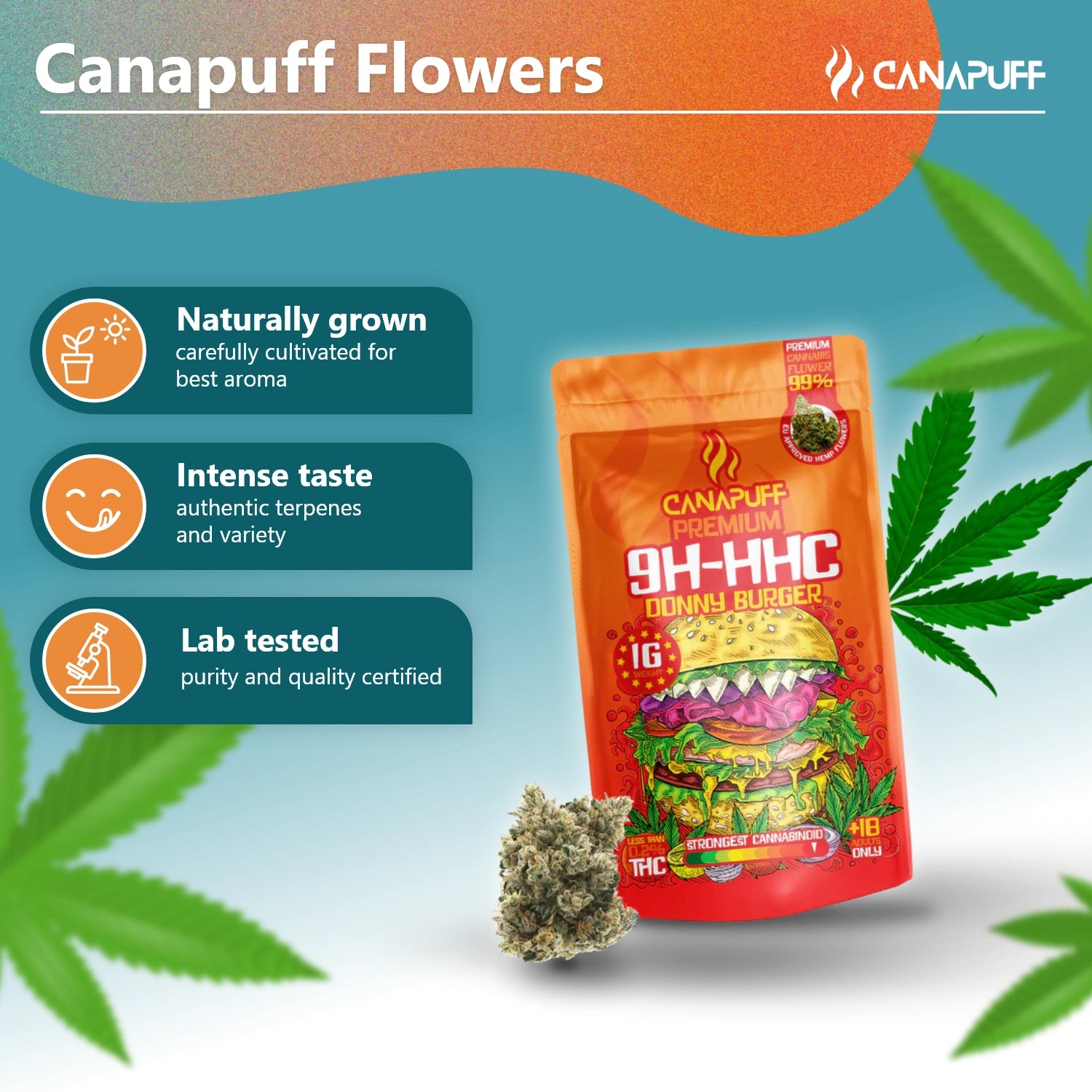 9H-HHC Fleurs Donny Burger 99 %