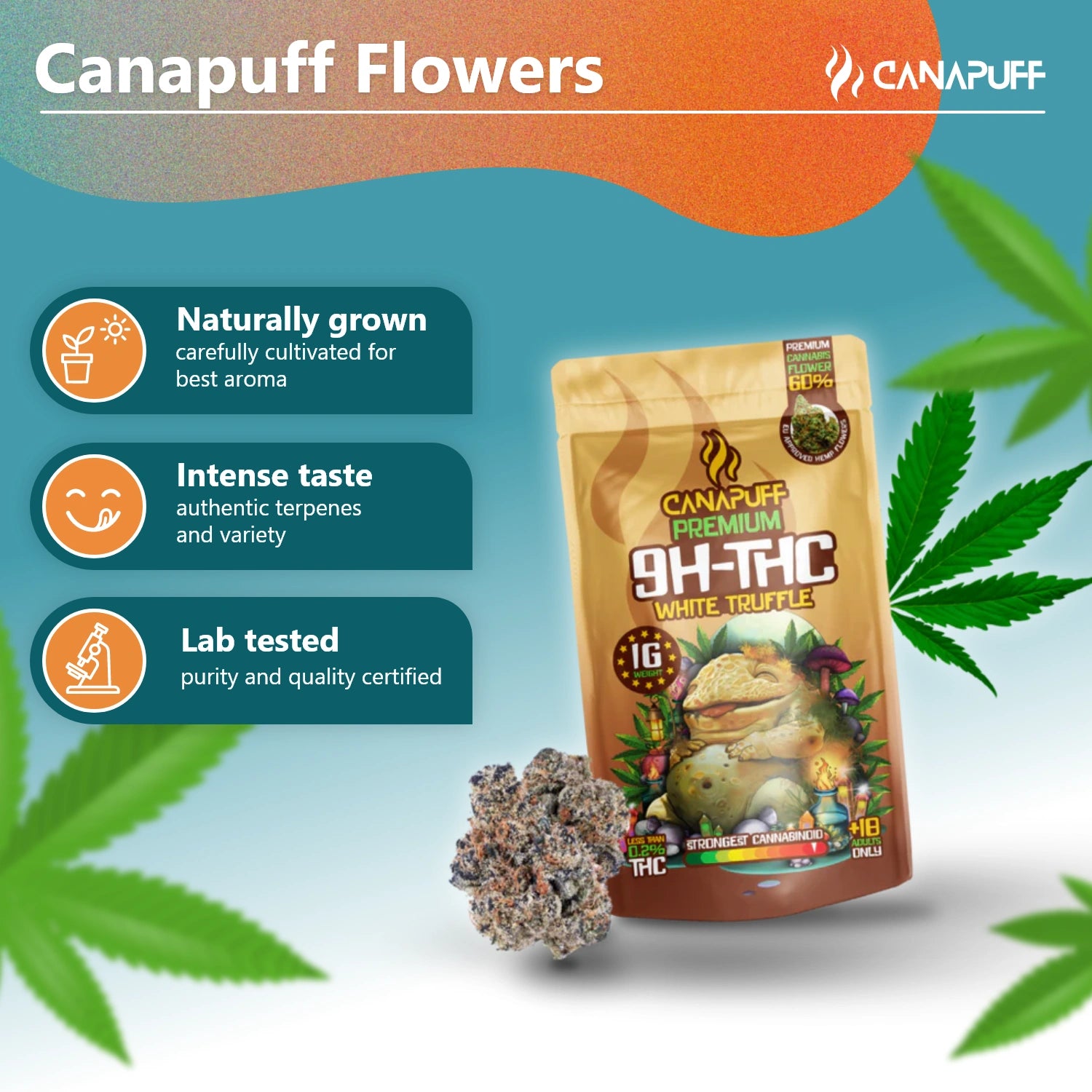 9H-THC Fleurs White Truffle 99%