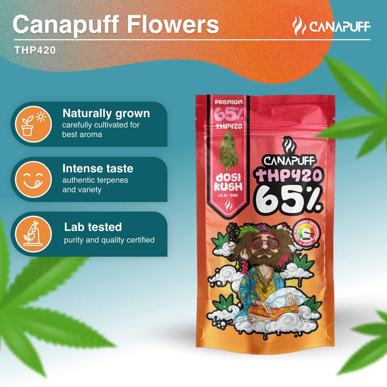 Dosi Kush 65% - THP420 Fleurs - Canapuff