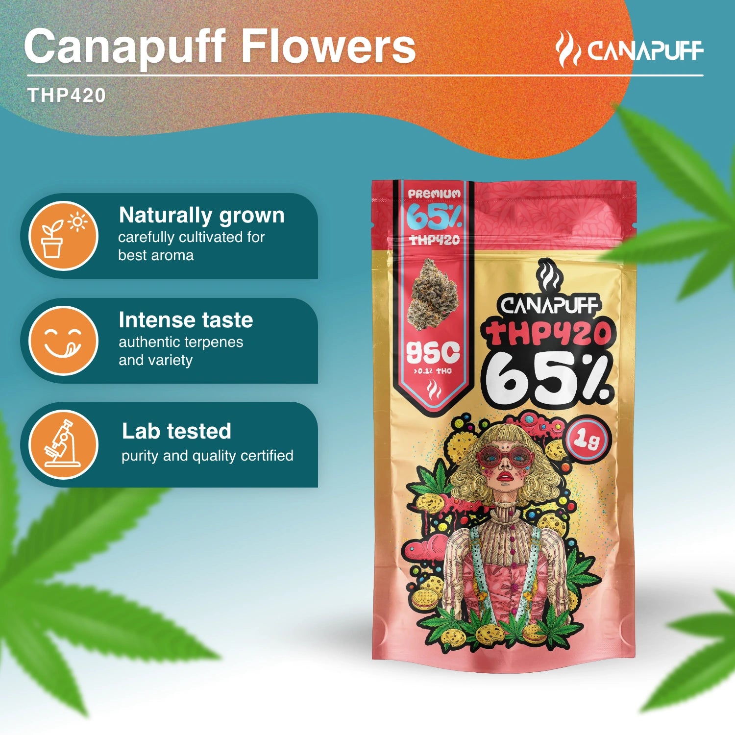 GSC 65% - Fleurs THP420 - Canapuff