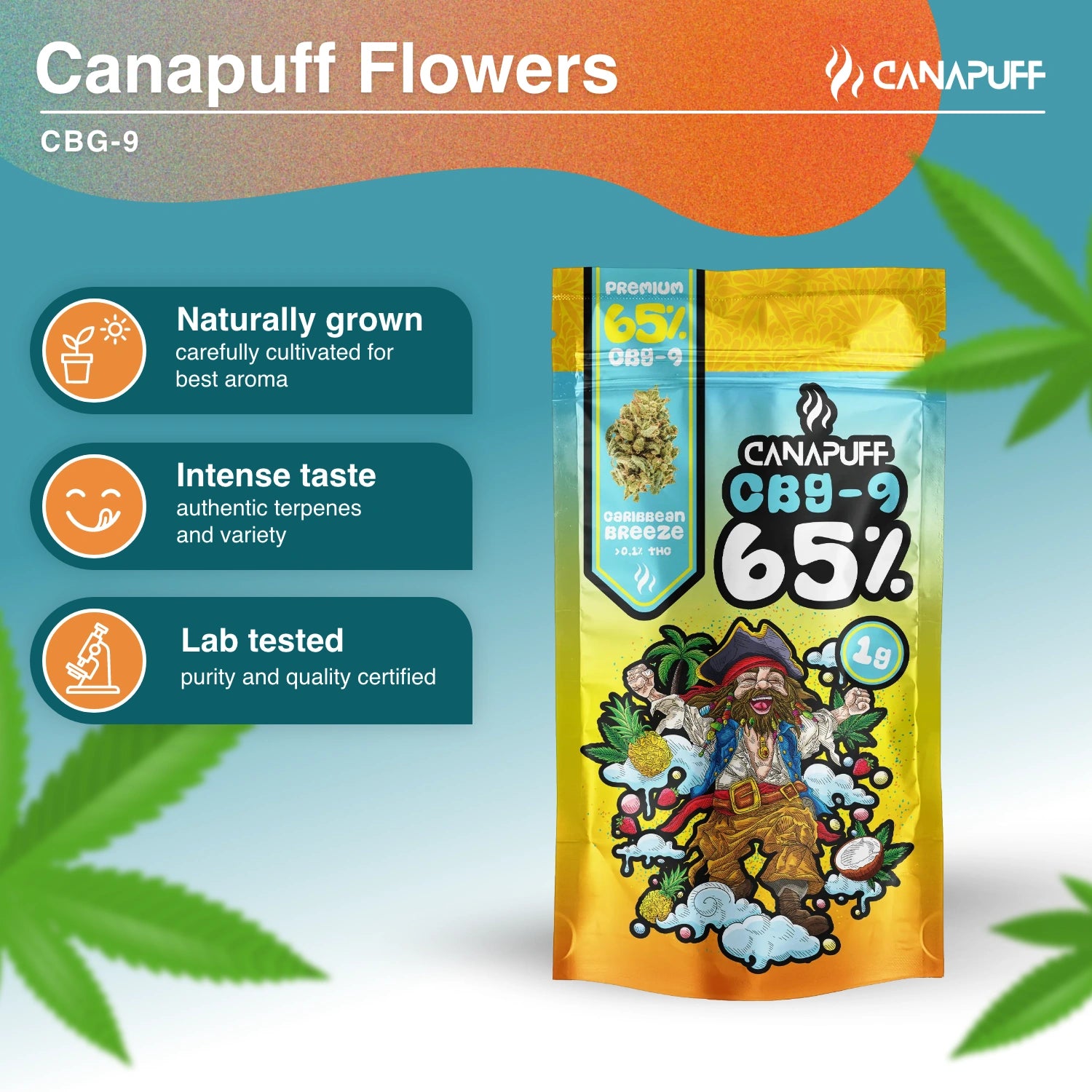 Caribbean Breeze 65% - Fleurs CBG9 - Canapuff