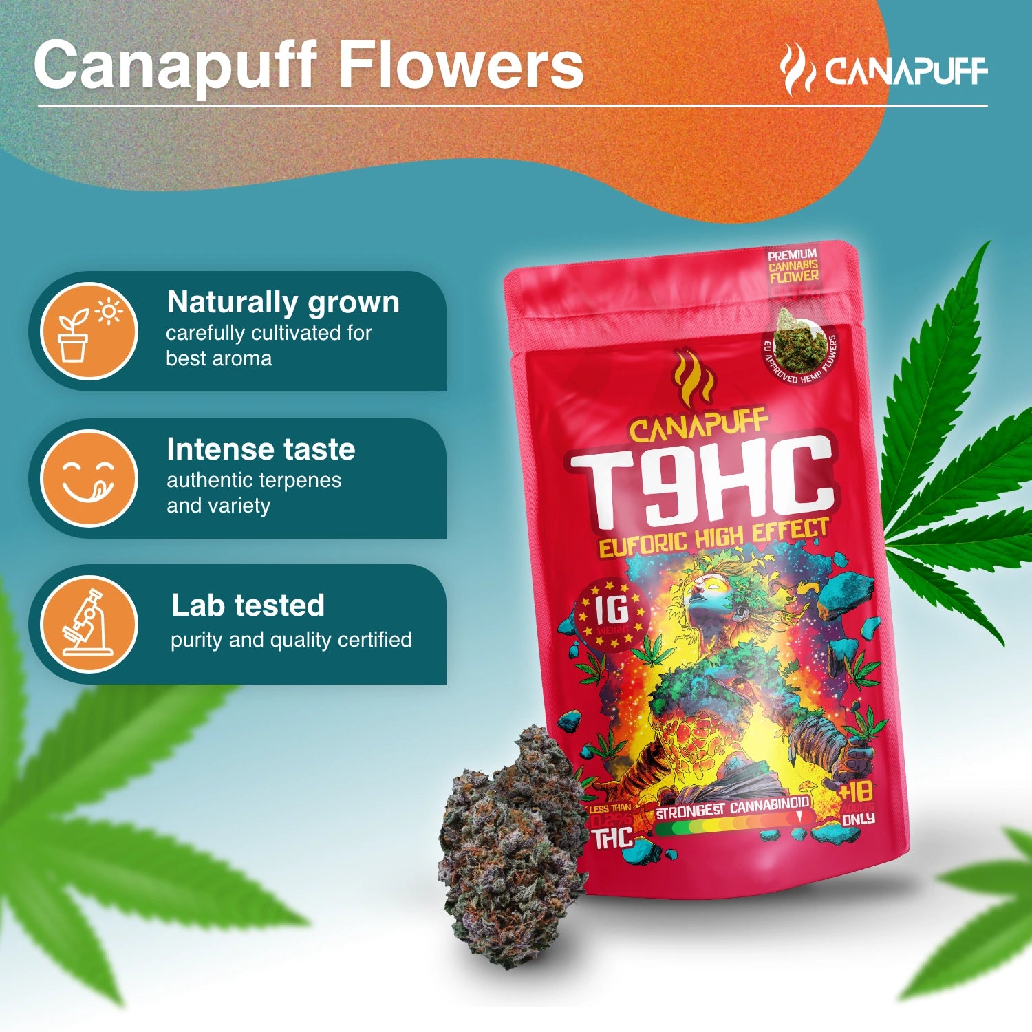 T9HC Fleurs Euforic 99 %