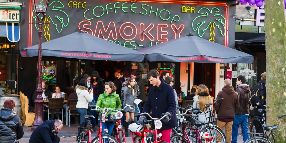 Meilleurs coffeeshops à Amsterdam 2024 : Les meilleurs endroits pour Cannabis-Canapuff