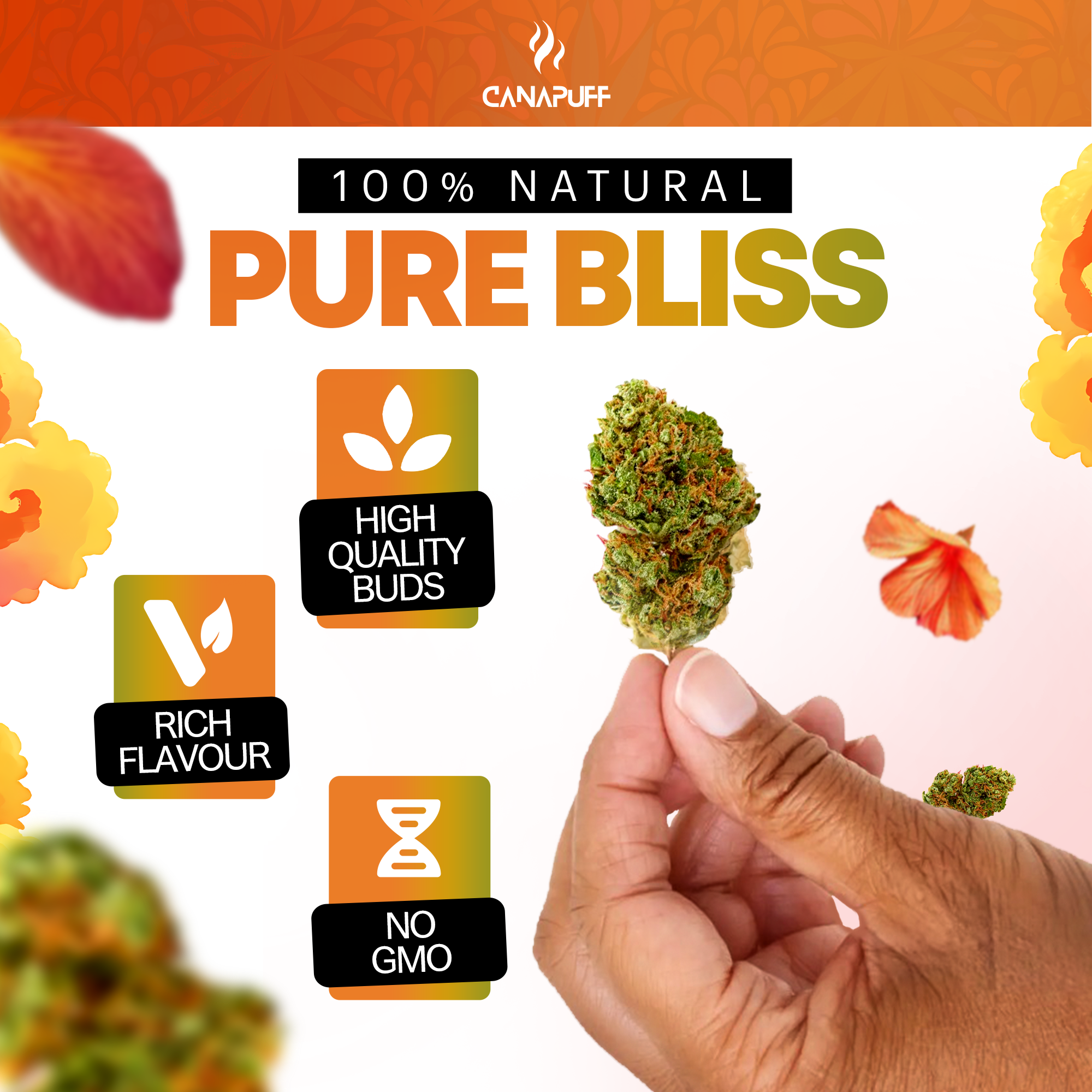 Canapuff - Gelonade 65% - Fleurs HHC-A-Canapuff