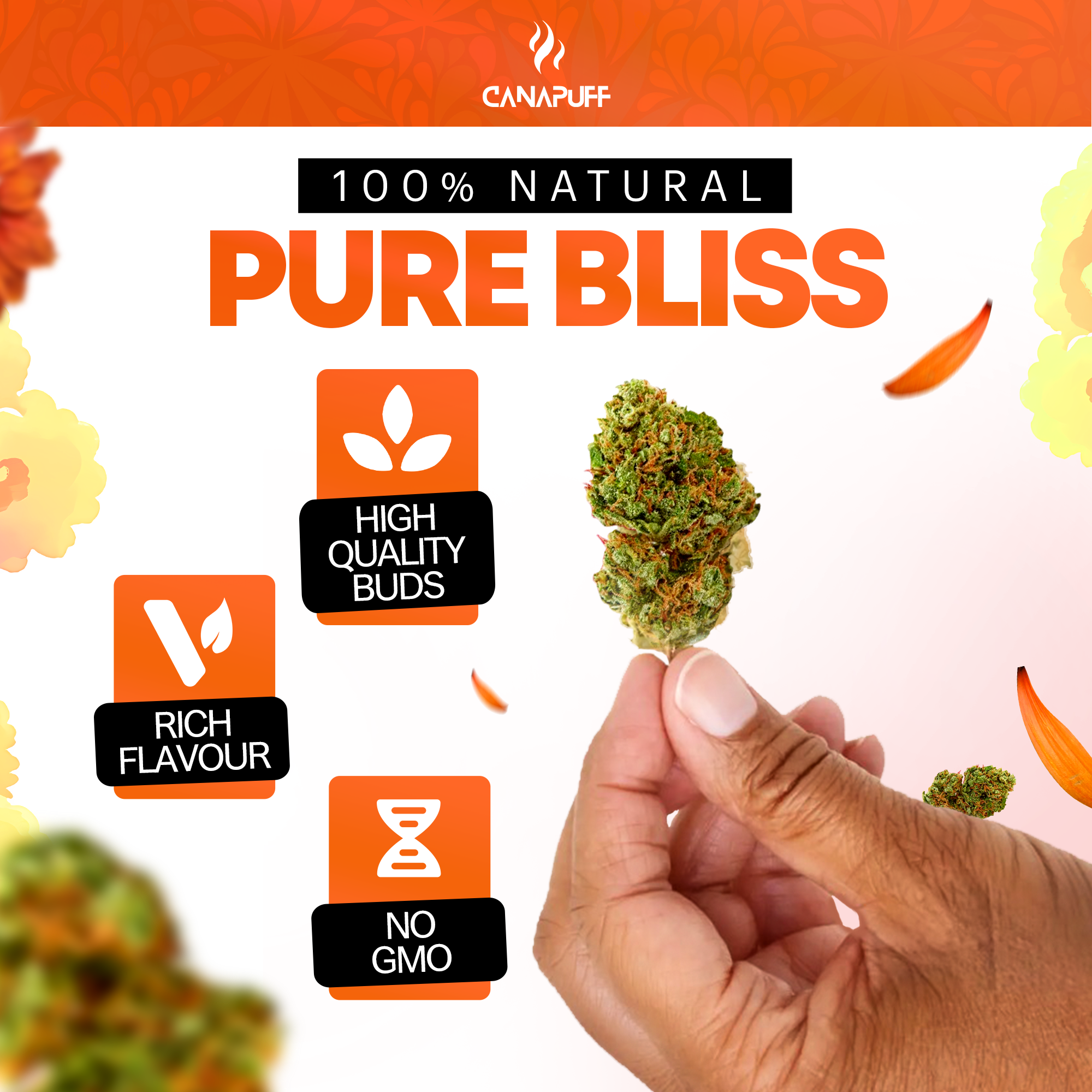 Canapuff - Green Crack 65% - Fleurs HHC-A-Canapuff