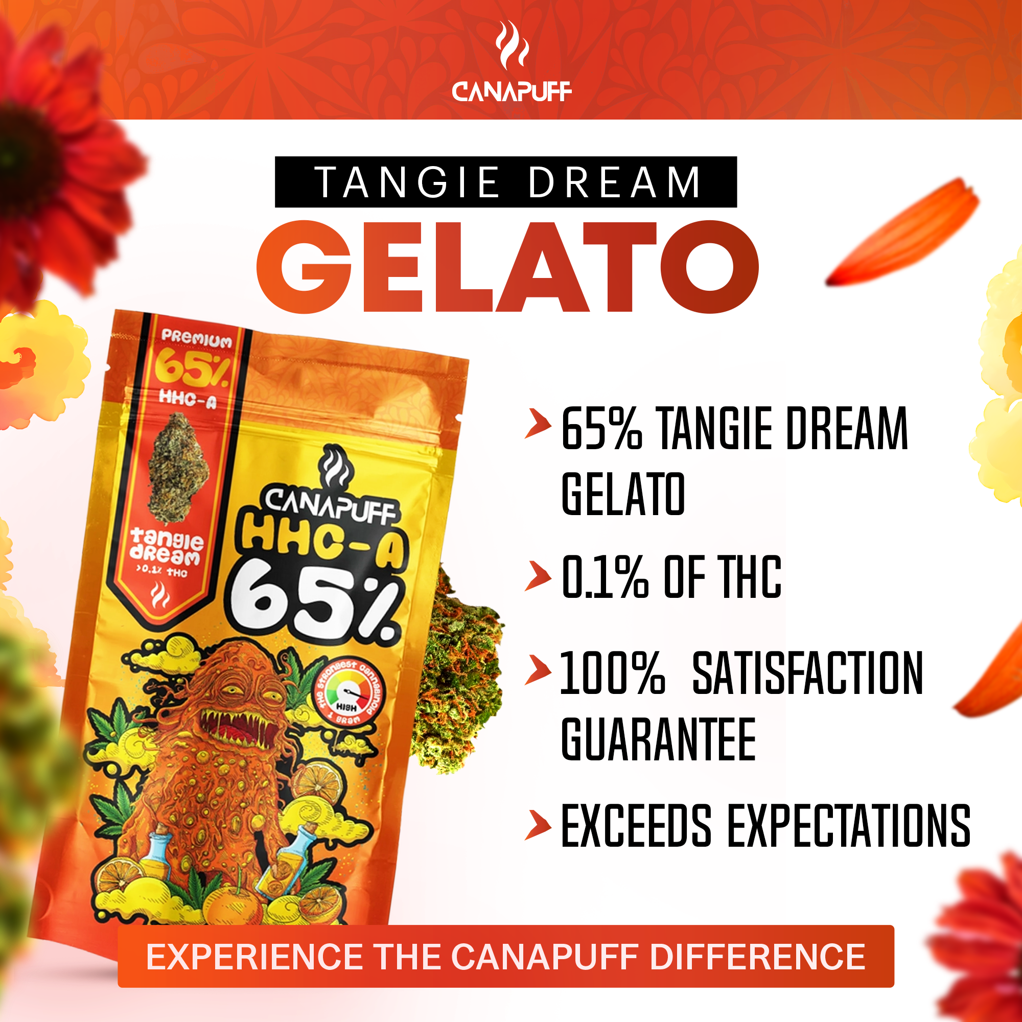 Canapuff - Tangie Dream 65% - Fleurs HHC-A-Canapuff