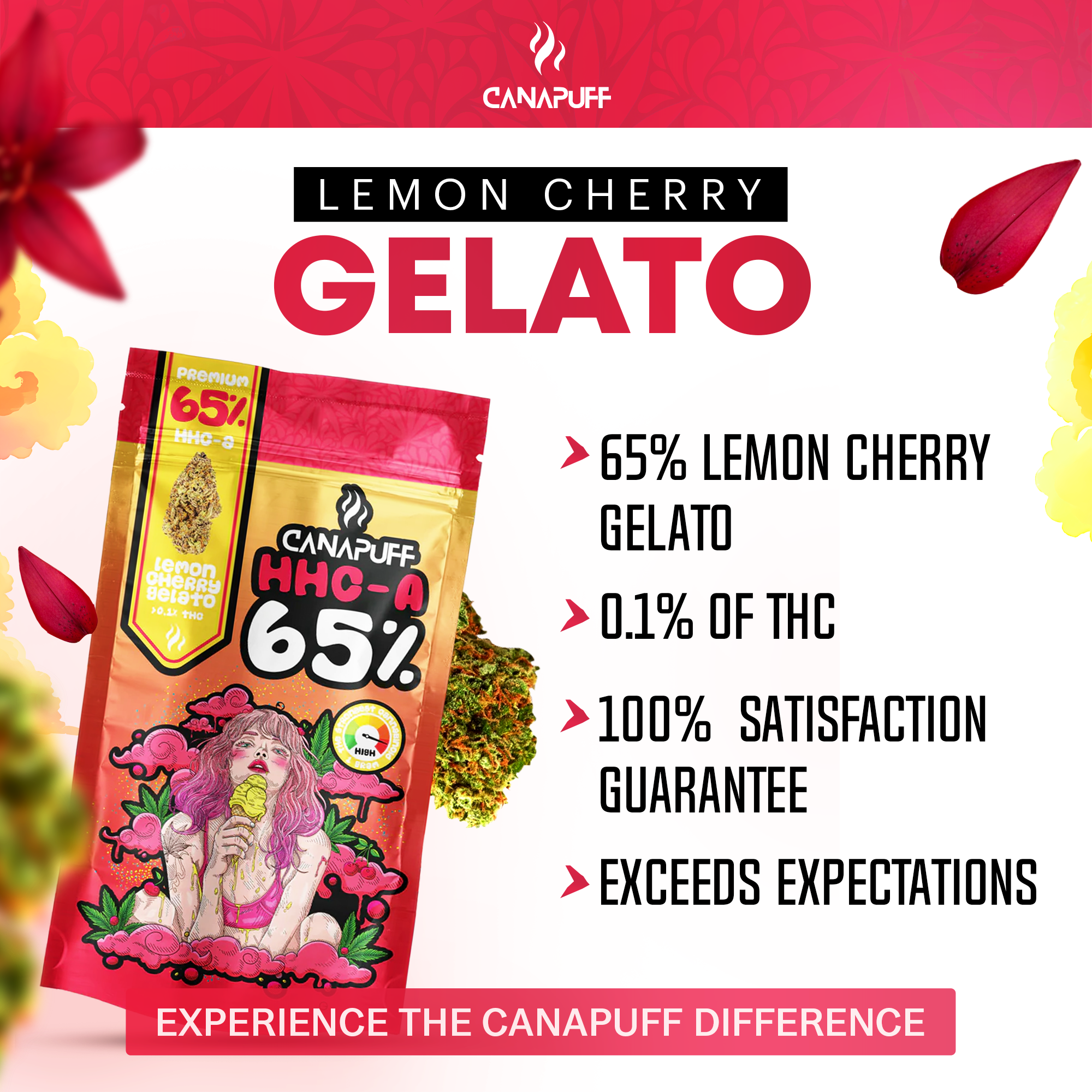 Canapuff - Lemon Cherry Gelato 65% - Fleurs HHC-A-Canapuff