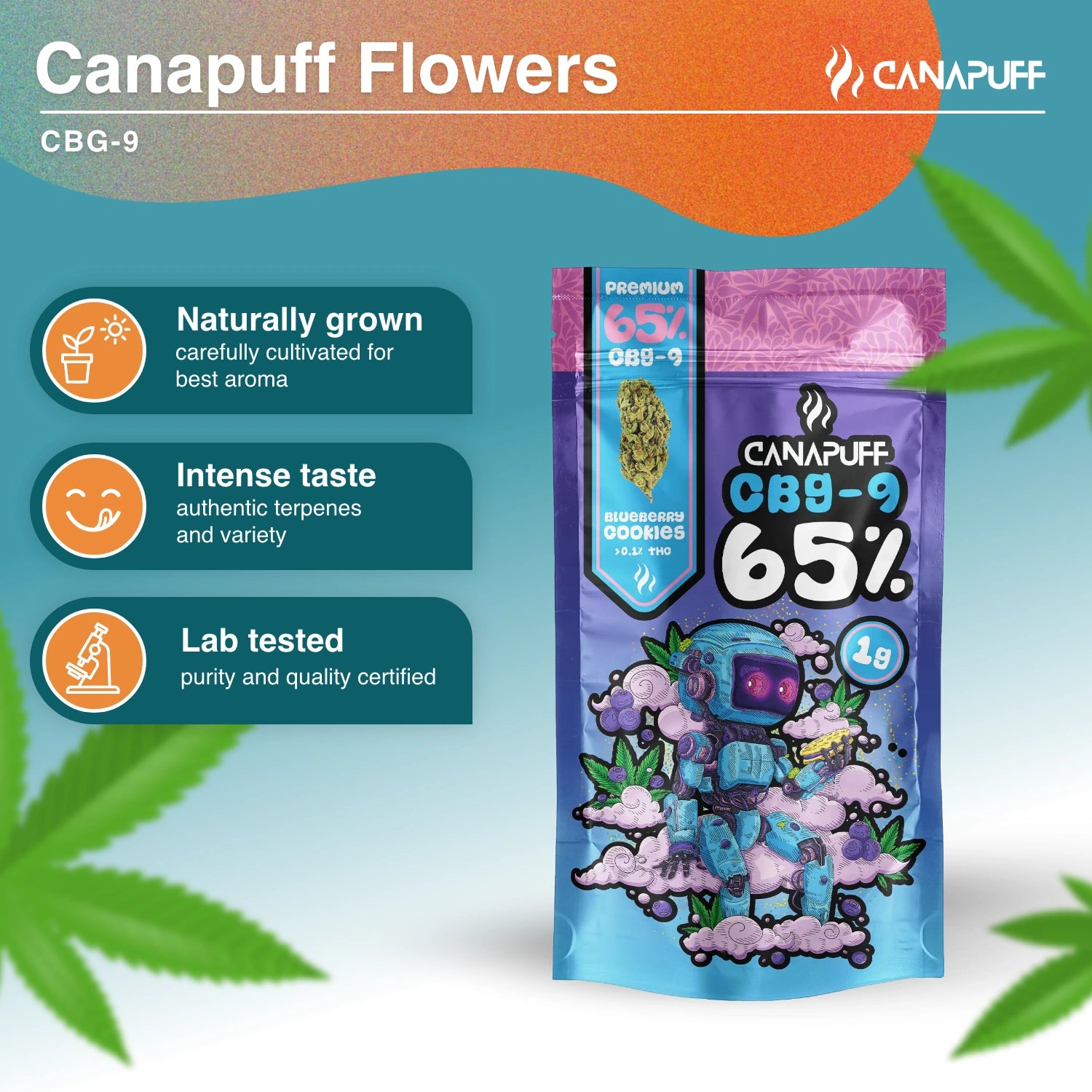 Blueberry Cookie 65% - Fleurs CBG9 - Canapuff