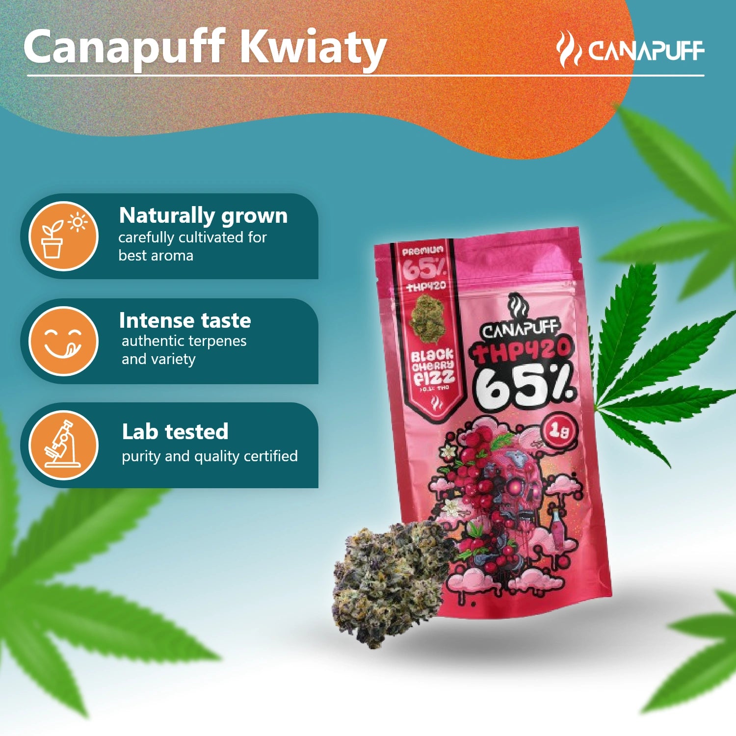THP420 Fleurs Cerise noire pétillante 65%