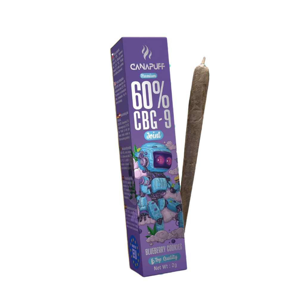 CBG9 Joint Myrtille Cookies 60% 2g
